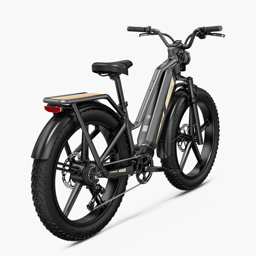 Fiido Titan 2025 - Image 8